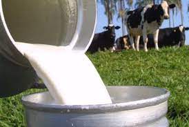 Coopeavi anuncia parceria inédita para disponibilizar crédito a produtores de leite 1