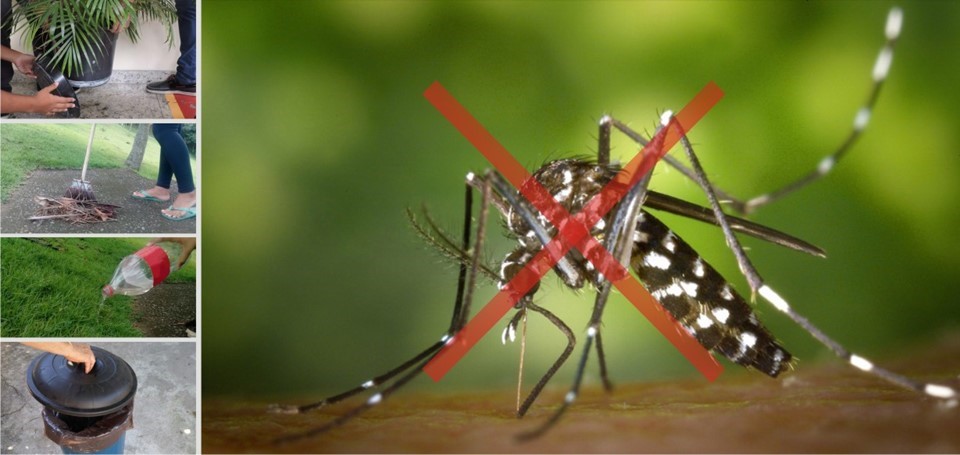 Combate à dengue: receber os agentes de saúde é essencial para evitar a doença 1