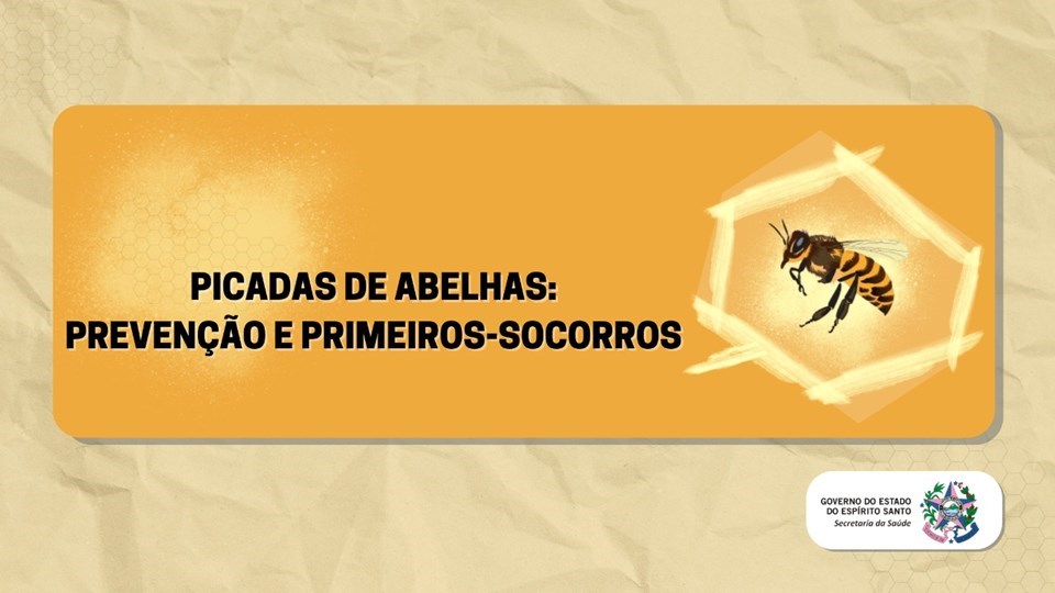 Picada de abelhas: Espírito Santo registra maior número de óbito dos últimos seis anos 1