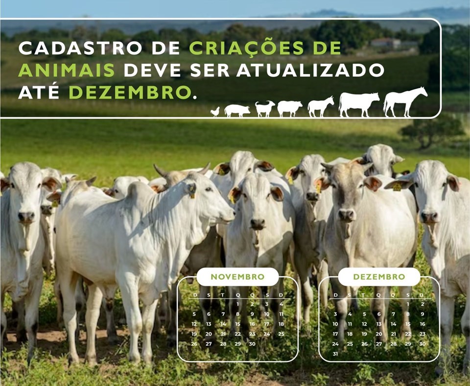 Criações de animais devem ser atualizadas até dezembro no Espírito Santo 1